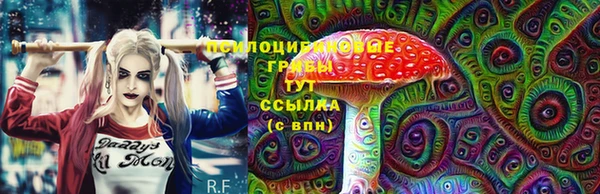 ешки Вяземский