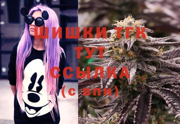 ешки Вяземский