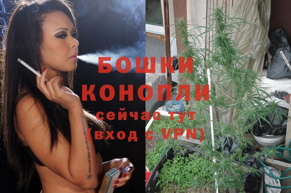 ешки Вяземский