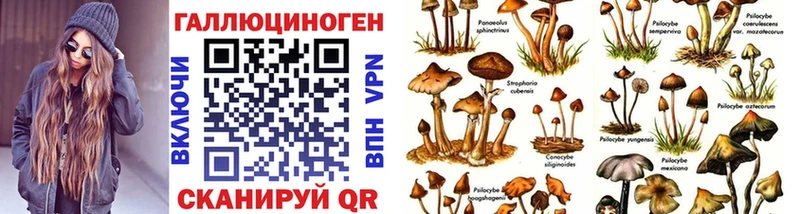 Псилоцибиновые грибы мицелий  сколько стоит  Евпатория 